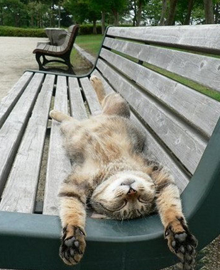 这也太豪放了吧