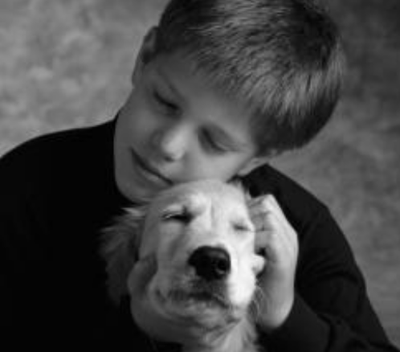 因天气炎热19岁男孩患上“心理中暑”  一脚踹死宠物小狗