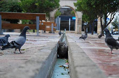 遭啦，我被他们给盯上啦