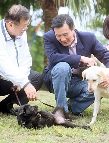 台湾“大选” 宠物也要比一比 他们与宠物的关系是怎么样的呢