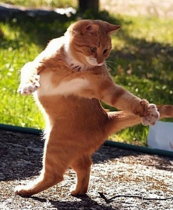 狂恋健美操的大婶