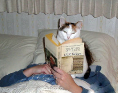 主淫你看完了没有！该翻页了