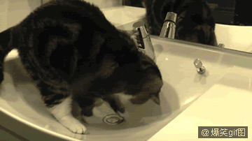 亲，你在练神马功？