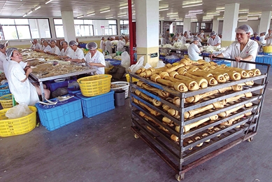 温州宠物时尚小镇将打造宠物医院和主题公园