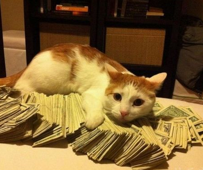 都是我的，谁也别抢！