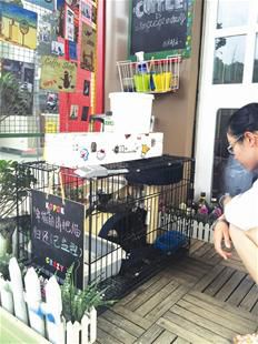 宠物领养协议书能否约束宠物领养人？