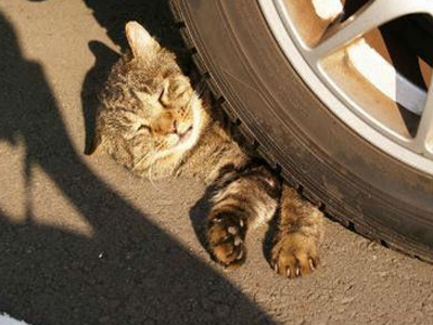 觉得有必要再次提醒一下