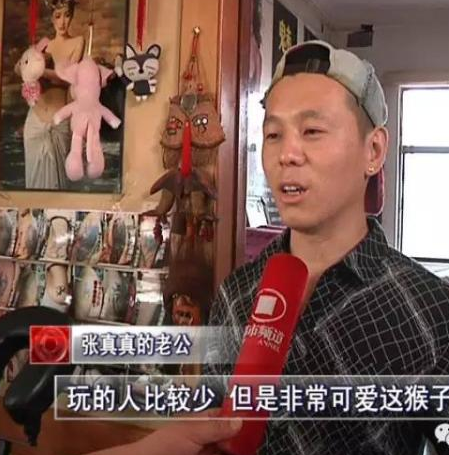 网购想买猴却被当“猴”耍 焦作夫妻网购袖珍猴被骗