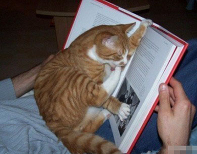 什么也阻挡不住对知识的渴求