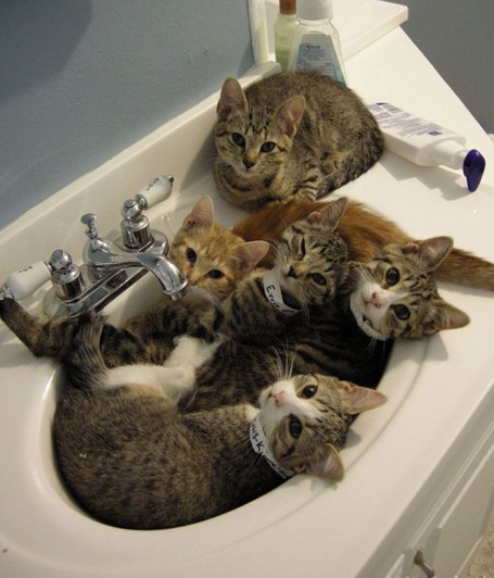 看神马看，没见过和美眉一起泡澡么？