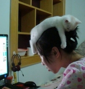 这样睡觉感觉挺舒服的