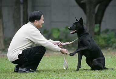 台湾“大选” 宠物也要比一比 他们与宠物的关系是怎么样的呢