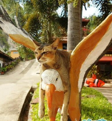 陪女人逛街就是累