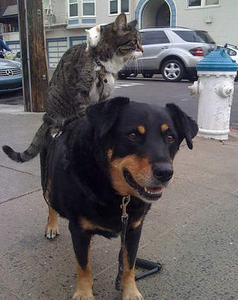 好和谐的一家啊