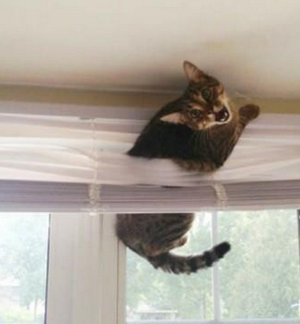 主淫，我卡住了