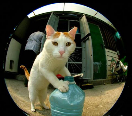 快开门，我知道你在家，给你送水来了