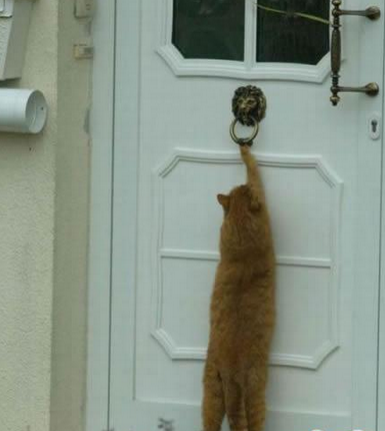 快给爹开门，爹回来了