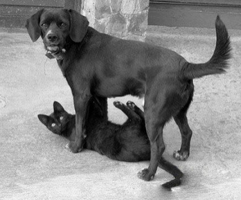 看什么看，非礼勿视啊