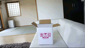 早就叫你要减肥了