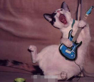 “死了都要爱”