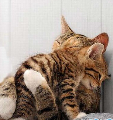 宝贝，让妈妈抱抱你