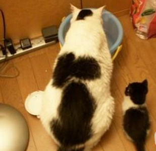 长大后，我就变成了你