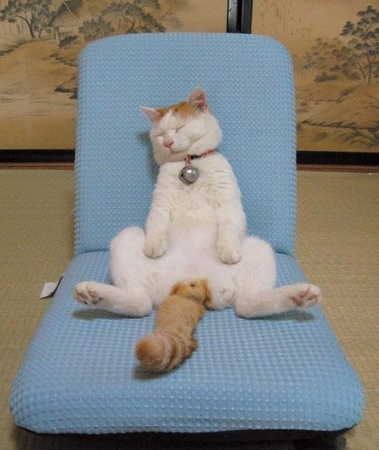 生活，本应如此惬意