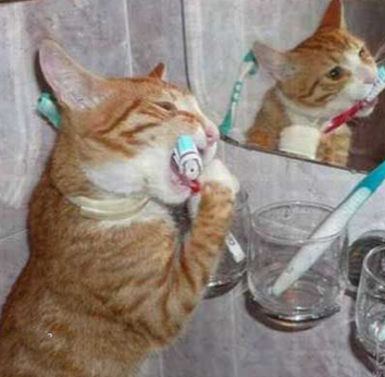 文明生活，健康成长