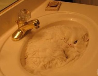 看我像不像泡沫啊