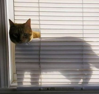 我勒个去，谁叫你这么偷窥的？