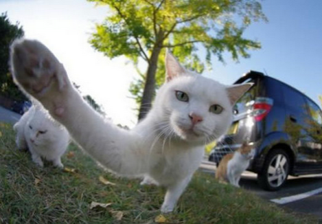 不要拍了，给偶留点隐私好不好