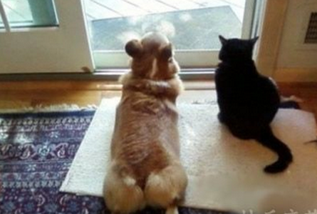 主淫怎么还不回家？