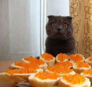 幸福就这样降临了，真不敢相信