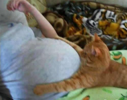 主人，主人你肿么了