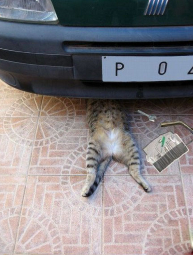 这车太TM难修了