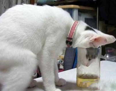 偶喝口水容易么