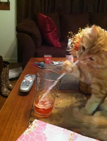 用吸管真的方便了很多