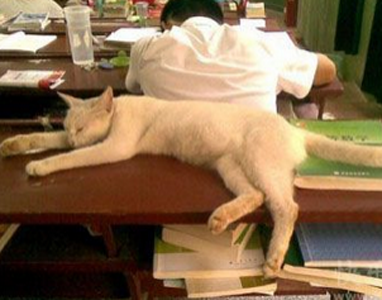 据说没人敢动这个位置！