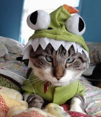 你一定要注意我的眼神啊