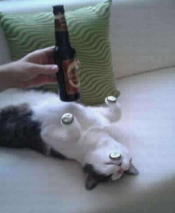 这货睡的太沉了