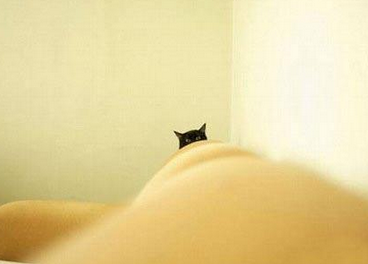 猫猫总是会在自认为很隐秘的地方偷窥你