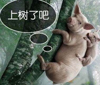 事实证明男人是靠得住的