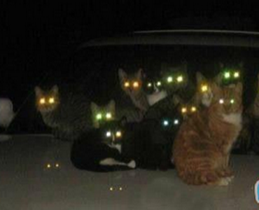 你们在取暖么？