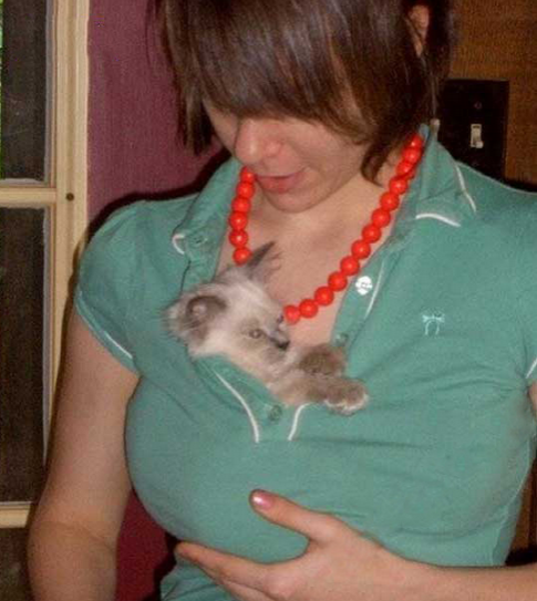 这个窝好舒服啊，哥羡慕死了