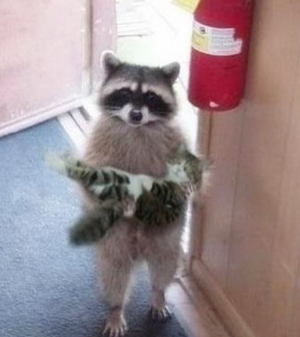 刚刚在路上捡到的美女