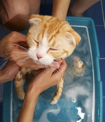 不做垂死挣扎了，你爱怎折腾就咋折腾