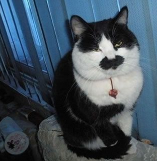 小样，知道爷是谁吗？