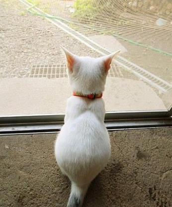 叔，你来了？那我们一起看吧