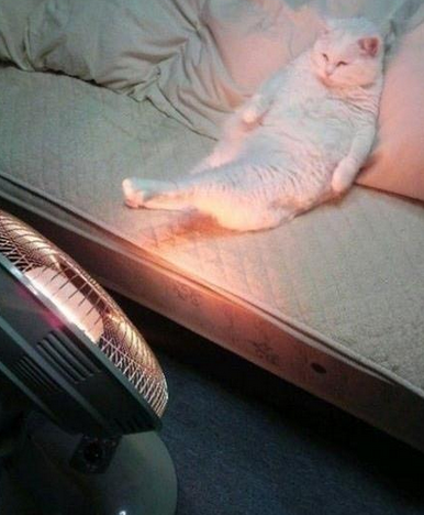 天冷了，暖暖脚