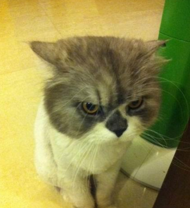 别惹老子今天心情不好